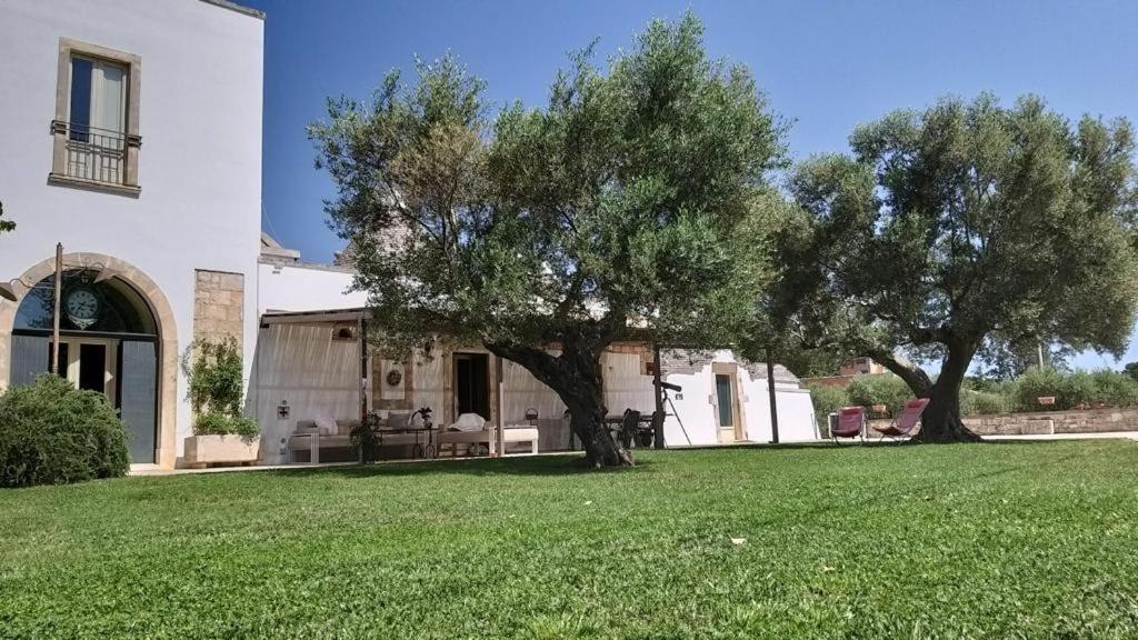 Trulli Apulia- Valle D'Itria- Martina Franca Exterior foto